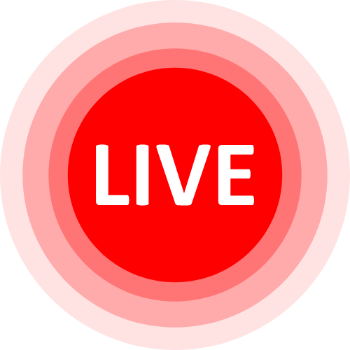 Cam On Cam Adult
